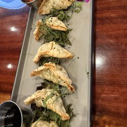 Bahama Bar at Esplanade Lakewood Ranch CC - Good potstickers