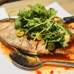 Fish Delight Fish Delight