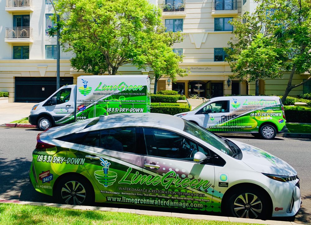 LimeGreen Water Damage & Restoration - veterans service organization in Los Angeles, CA