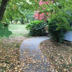 Mender Massage - Sidewalk entrance for my clients