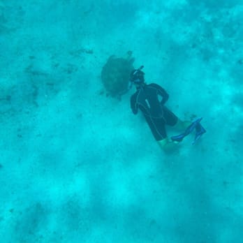 Aqua Action Dive Center - Lisa snapping pictures of the sea turtles - Scuba Diving Near Me - St Thomas, Virgin Islands