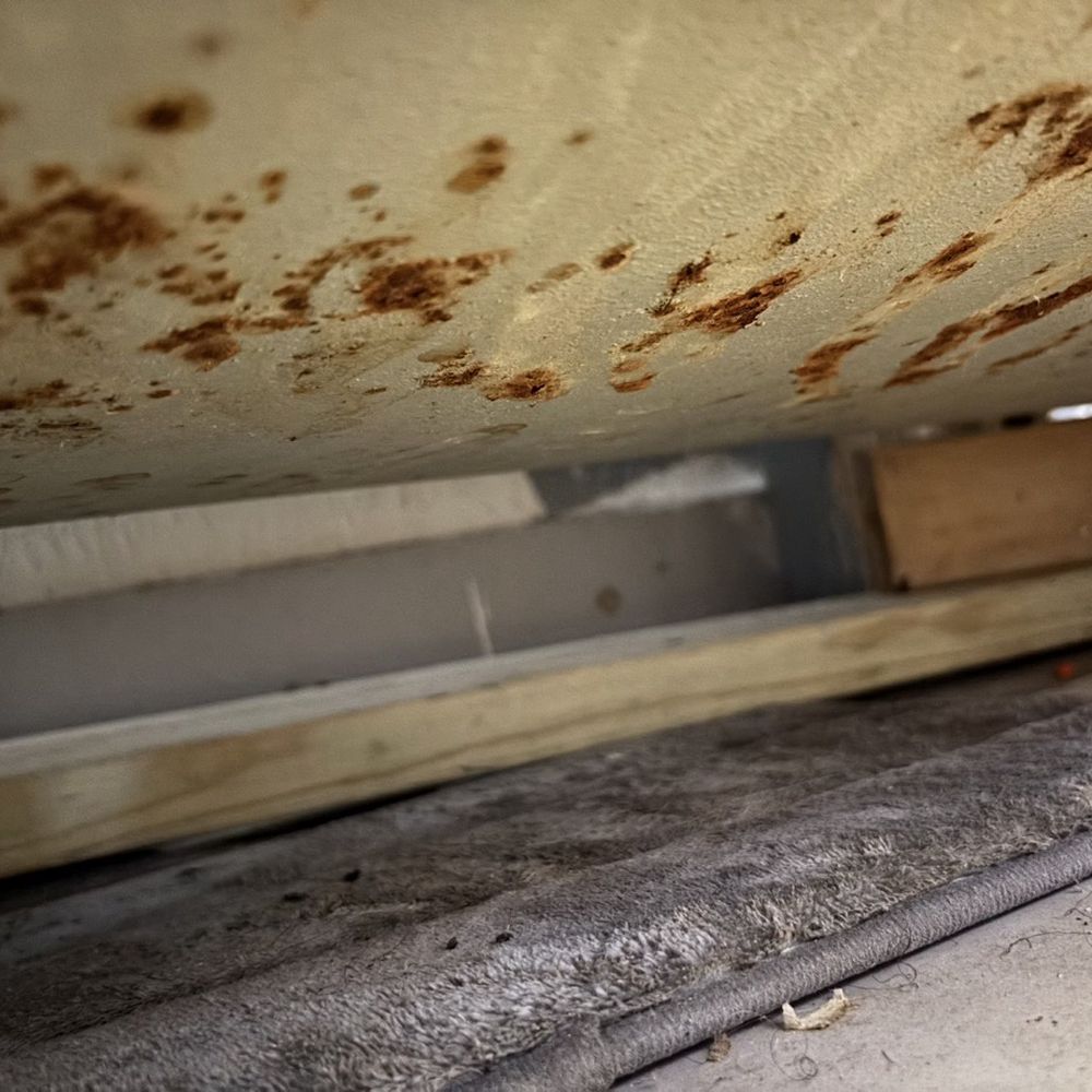 B2B Realty - Under the tub that needs replaced - Property Management Near Me - Brooklyn, Ohio B2B Realty - Under the tub that needs replaced - Property Management Near Me - Brooklyn, Ohio