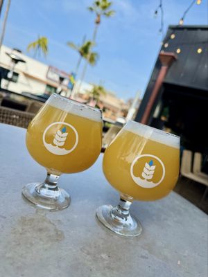 Pure Project Carlsbad by null