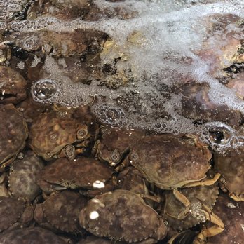 Quality Seafood - Crabs - Seafood Markets Near Me - Redondo Beach, California