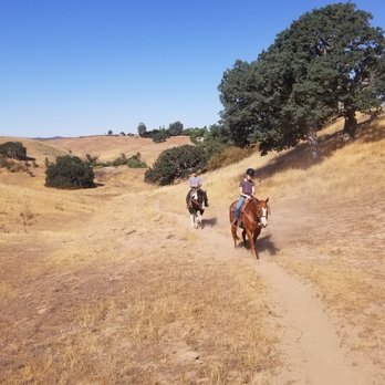 Central Coast Trailrides - Horseback Riding Near Me Central Coast Trailrides - Horseback Riding Near Me