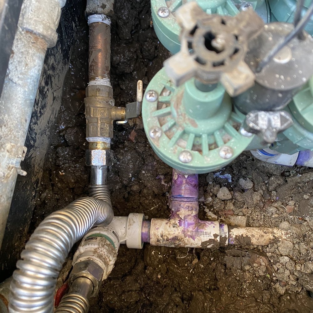 Red Tulip Plumbing - After - Plumbing Near Me - Fremont , California Red Tulip Plumbing - After - Plumbing Near Me - Fremont , California