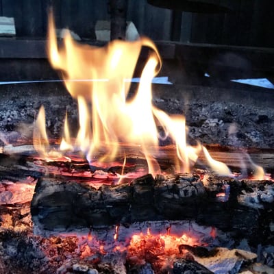 Nuuksio National Park by null