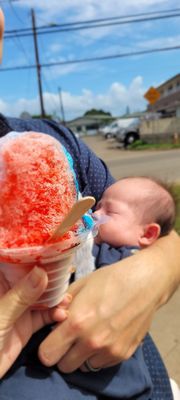 Haleiwa Shave Ice by null