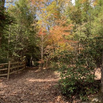 Cummins Falls State Park - Trail - Parks Near Me - Cookeville, Tennessee Cummins Falls State Park - Trail - Parks Near Me - Cookeville, Tennessee