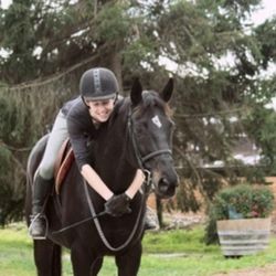 Crescent Stables - Photo