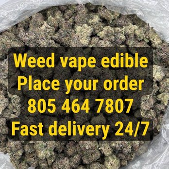 G1 Vape Shop - Vape Shops Near Me - Hilo, Hawaii G1 Vape Shop - Vape Shops Near Me - Hilo, Hawaii