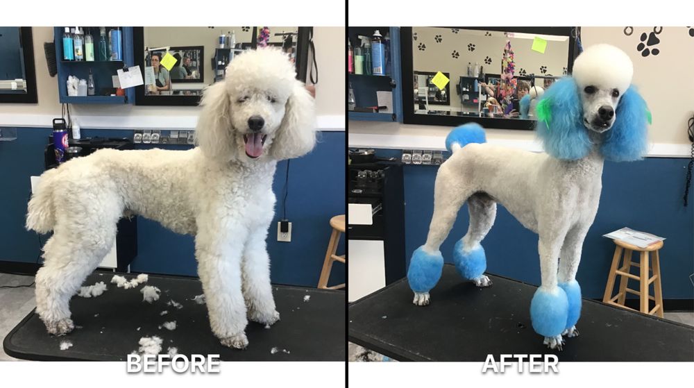 STYLES PET GROOMING 155 Photos & 92 Reviews 32355 Yucaipa Blvd