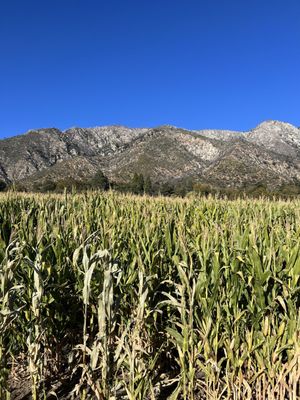 Los Rios Rancho by null