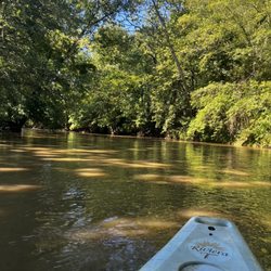 Canal Fulton Canoe Livery - Kayaking