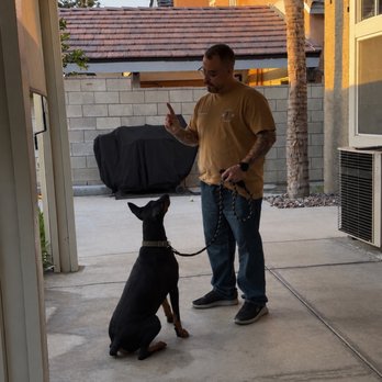 Restored k-9 Academy - Pet Training Near Me Restored k-9 Academy - Pet Training Near Me