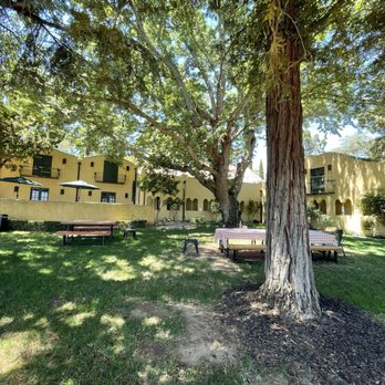 Backstage Winery - Wine Tasting Room Near Me - Napa, California