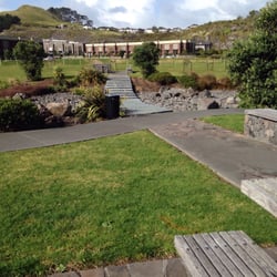 Maungarei Springs Wetland