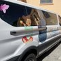 Photo of Speedpro Imaging