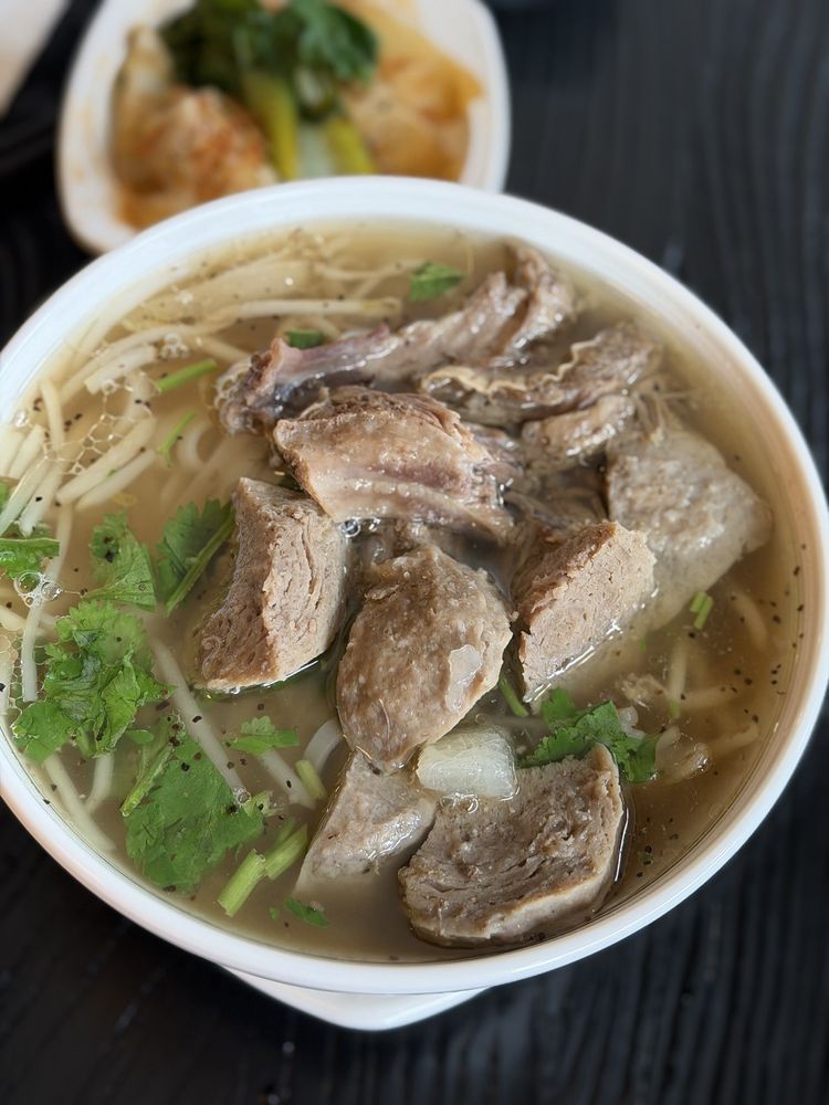 VEx - The Vietnam Experience Logo