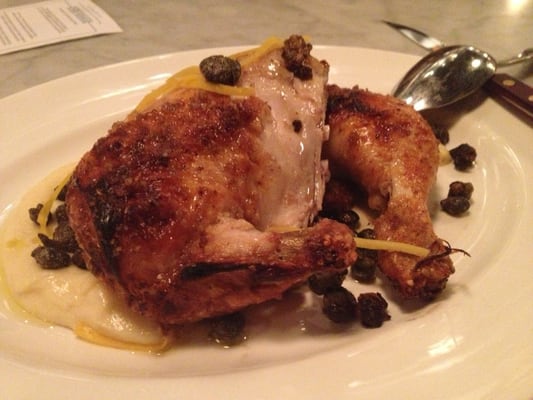 The Whale Wins by null The Whale Wins by null