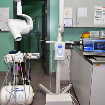 Lansdowne Animal Hospital - Digital Dental Xrays - Veterinarians Near Me - Richmond, British Columbia Lansdowne Animal Hospital - Digital Dental Xrays - Veterinarians Near Me - Richmond, British Columbia