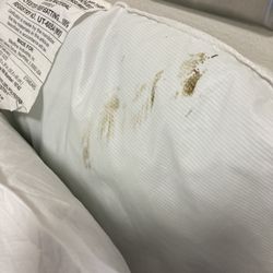 Meadowbrook Care Center - Smelly Feces from prior patient