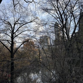 Central Park - Daily Stroll! (December, 2023) - Parks Near Me - New York, New York Central Park - Daily Stroll! (December, 2023) - Parks Near Me - New York, New York