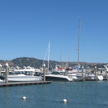 Fish - vibe - Seafood Near Me - Sausalito, California