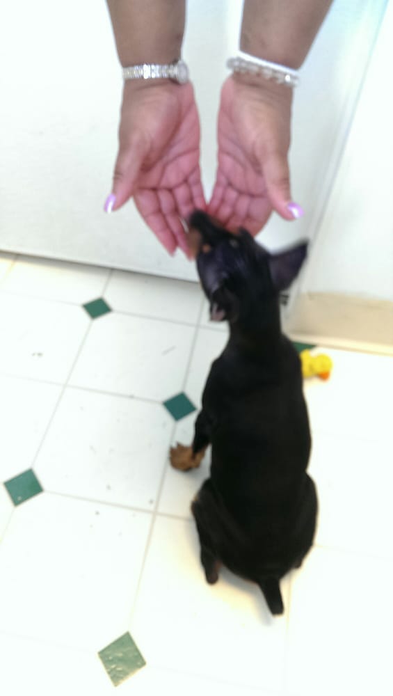 PETLAND FRIENDLY CENTER Updated September 2024 625 Friendly Center