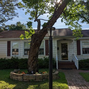 Greenwood Tree - AFTER 5/4/23 Front yard maple - Tree Services Near Me - Pensacola, Florida Greenwood Tree - AFTER 5/4/23 Front yard maple - Tree Services Near Me - Pensacola, Florida