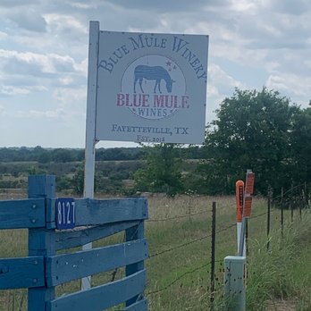 Blue Mule Winery - A fun place to stop for some local flavor. - Wineries Near Me - Fayetteville, Texas
