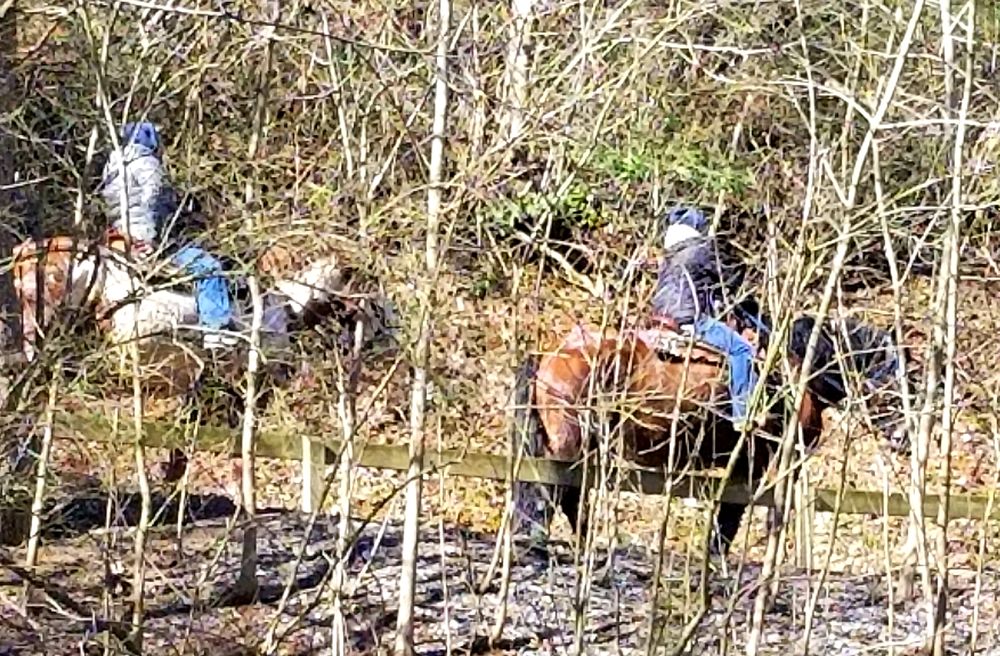 Big Rock Dude Ranch at Ponderosa - equestrian in Pigeon Forge, TN
