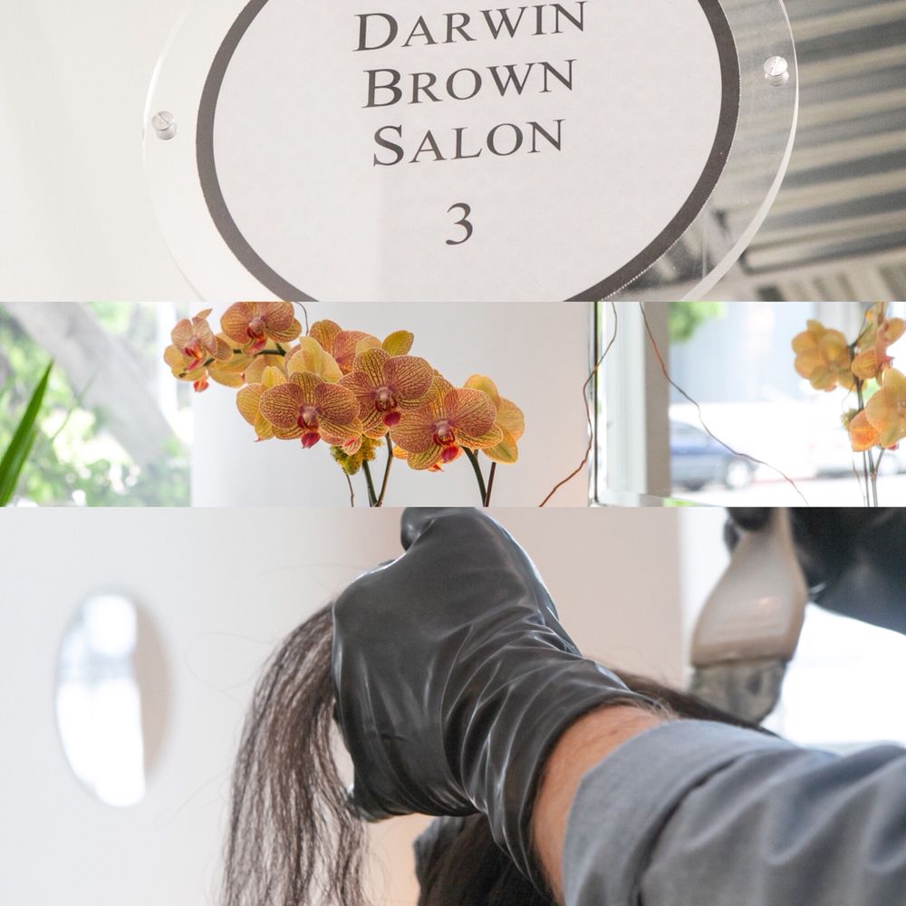 DARWIN BROWN SALON 57 Photos & 37 Reviews 12121 Wilshire Blvd