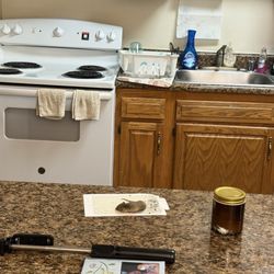 Morningside Apartments & Townhomes - Mice