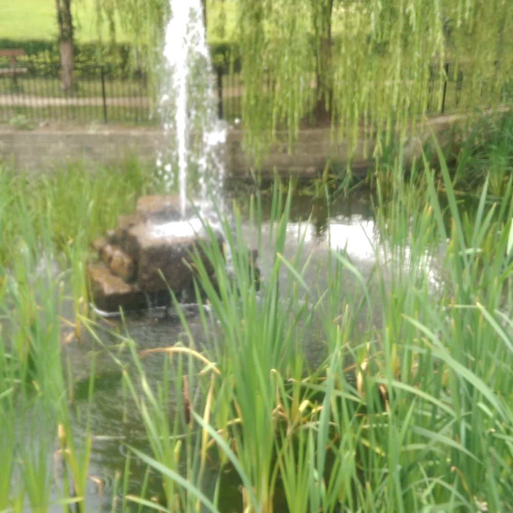 Rother Valley County Park - So pretty - Parks Near Me - Rotherham, ABE