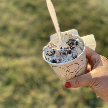 Carmen's Dairy Bar & Grill - a hand holding a cup of ice cream - Burgers Near Me - Clawson, Michigan Carmen's Dairy Bar & Grill - a hand holding a cup of ice cream - Burgers Near Me - Clawson, Michigan