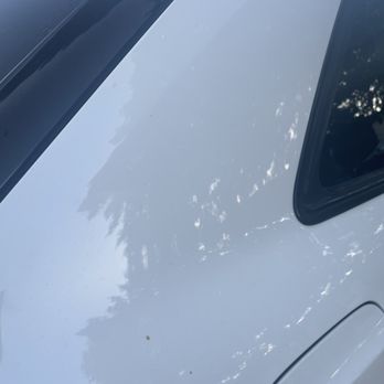 Galaxy Auto Haus Collision Center - Normal and glossy dots on it are tree sap - Body Shops Near Me - Long Beach, California
