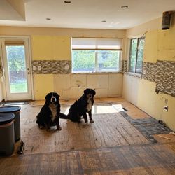 Ben's Repurposed Cabinetry - Empty kitchen (with dogs)