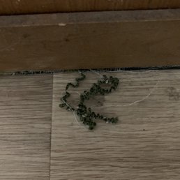 By the front door By the front door