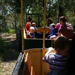 Greenhills Adventure Park - Tractor train ride around the park