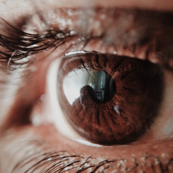 Toledo Lasik Center - Eye with LASIK