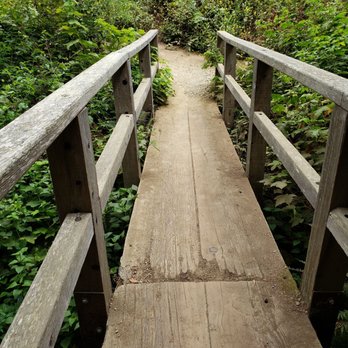Partington Cove - Bridge to the cove - Hiking Near Me - Big Sur, California