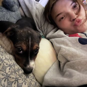 Animal Emergency Center - Irene comforting me during a mental health emergency. - Emergency Pet Hospital Near Me - Collinsville, Illinois Animal Emergency Center - Irene comforting me during a mental health emergency. - Emergency Pet Hospital Near Me - Collinsville, Illinois