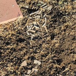 Quality Plumbing & Rooter