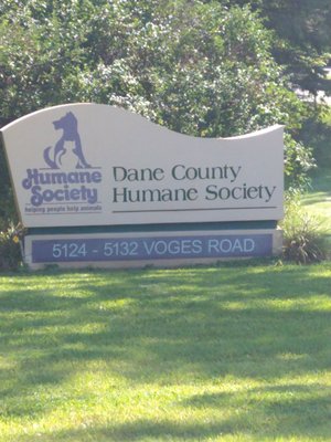 DANE COUNTY HUMANE SOCIETY - Updated January 2026 - 19 Photos & 29