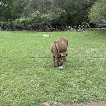 Rohan Meadery - Mule - Meaderies Near Me - La Grange, Texas