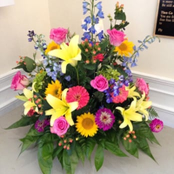 The Daisy Fair Flowers - Florists Near Me - Conway, South Carolina The Daisy Fair Flowers - Florists Near Me - Conway, South Carolina