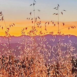 Topanga State Park on Yelp