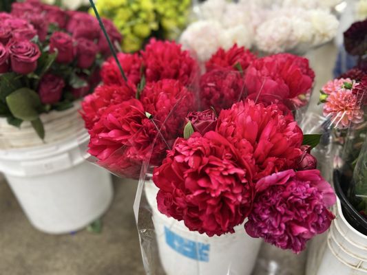 The Original Los Angeles Flower Market by null