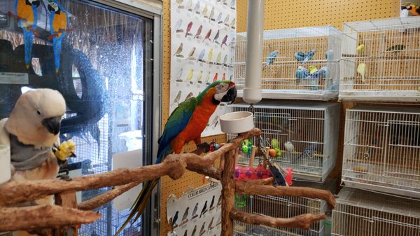 Oldsmar Flea Market Home Facebook